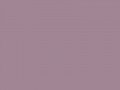 Пастельно-фиолетовый	#A18594	161	133	148