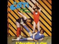 l'aerobica e chic