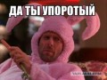 да ты упорот