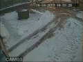 Каскадер. Архангельск
