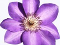 0_12bc2b_b92c6e03_orig-min