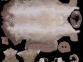 pig_01_kr-min