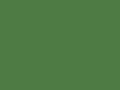 Зеленый папоротник	#4F7942	79	121	66