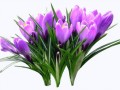 _yapfiles.ru (7)