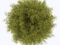 klipartz.com (32)