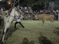 Fungif_17 (1)