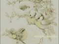 Birds1