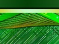 -О-НЕВЕРНОЙ-ВЕСНЕ_03