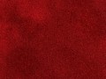 Daniel_CB_tomate