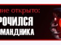 2 копия