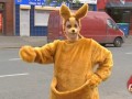 Ааа! Кенгуру хвост придавили! 