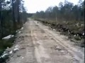 Пес гонит зайца