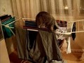 Кот шкодник
