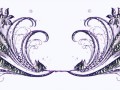 2_4
