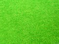 93221_download-texture-green-grass-background-texture-download-photo_3264x2448_h