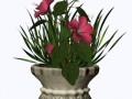 _v_vazone1_yapfiles.ru