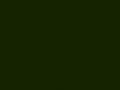 Глубокий оливково-зеленый	#142300