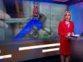 За гибель четырех человек тульскому слесарю грозит до 10 лет - Россия 24
