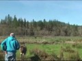 Чужие на районе