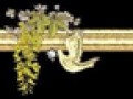 _6_arnusha