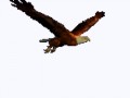 5eb44b0774a8-(1)