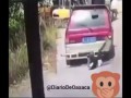 ТП попала под машину