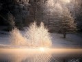 -КРАСАВИЦА_01-1