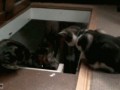 gifs_20 (1)