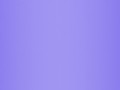 Purple-Dreams.png-РОМАНТИК_02