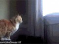 прыыжок