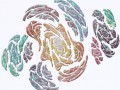 Fractal-3