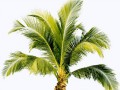 580b585b2edbce24c47b272c_yapfiles.ru