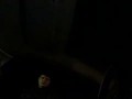 Молодой и зеленый на Блох Посту Купянска Харьковской области