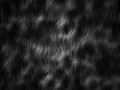 1248791438_1204328_86771800