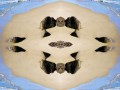 4стороны3
