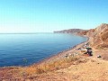 Лиска