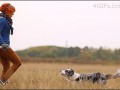 gifki_s_sobakami_004_yapfiles.ru