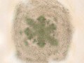 sand kreis grün