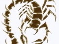 scorpion-min