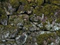 1376816320_112_yapfiles.ru