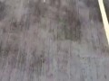 В Мексике прошёл дождь из рыб