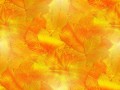 ba30421eb24d