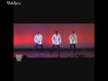 Подборка коротких видео !