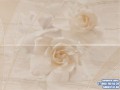 w_big__UserFiles_SHINE_DECOR_FLOWERS_01_jpg