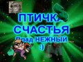 ПТИЧКА "СЧАСТЬЯ" - Влад НЕЖНЫЙ