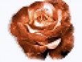 _7_arnusha