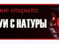 13 копия