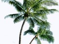 pngwing.com (2)