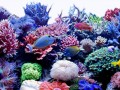 _yapfiles.ru (6)