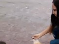 1507123662_133849b6d75046ce4b8b9331e9017d7e